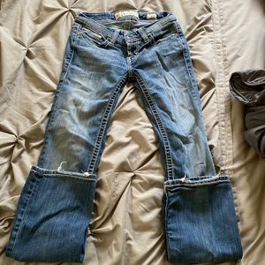 Buckle Stella bootcut jeans